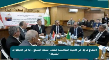 اجتماع عاجل في الجيزة لمناقشة خفض أسعار السلع.. ما هي الخطوات المقبلة؟